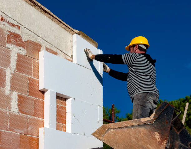 Best Insulation Maintenance and Repair in Black Diamond, FL