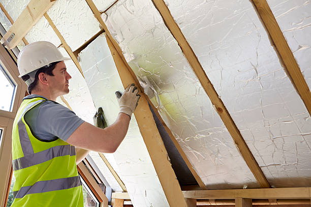 Types of Insulation We Offer in Black Diamond, FL
