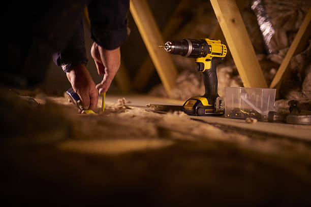 Best Eco-Friendly Insulation in Black Diamond, FL