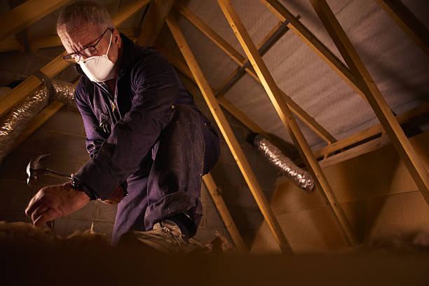 Reliable Black Diamond, FL Insulation Contractor Solutions