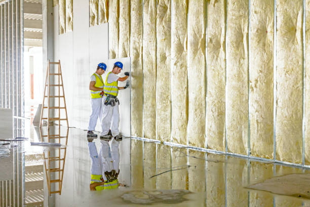 Best Fiberglass Insulation in Black Diamond, FL